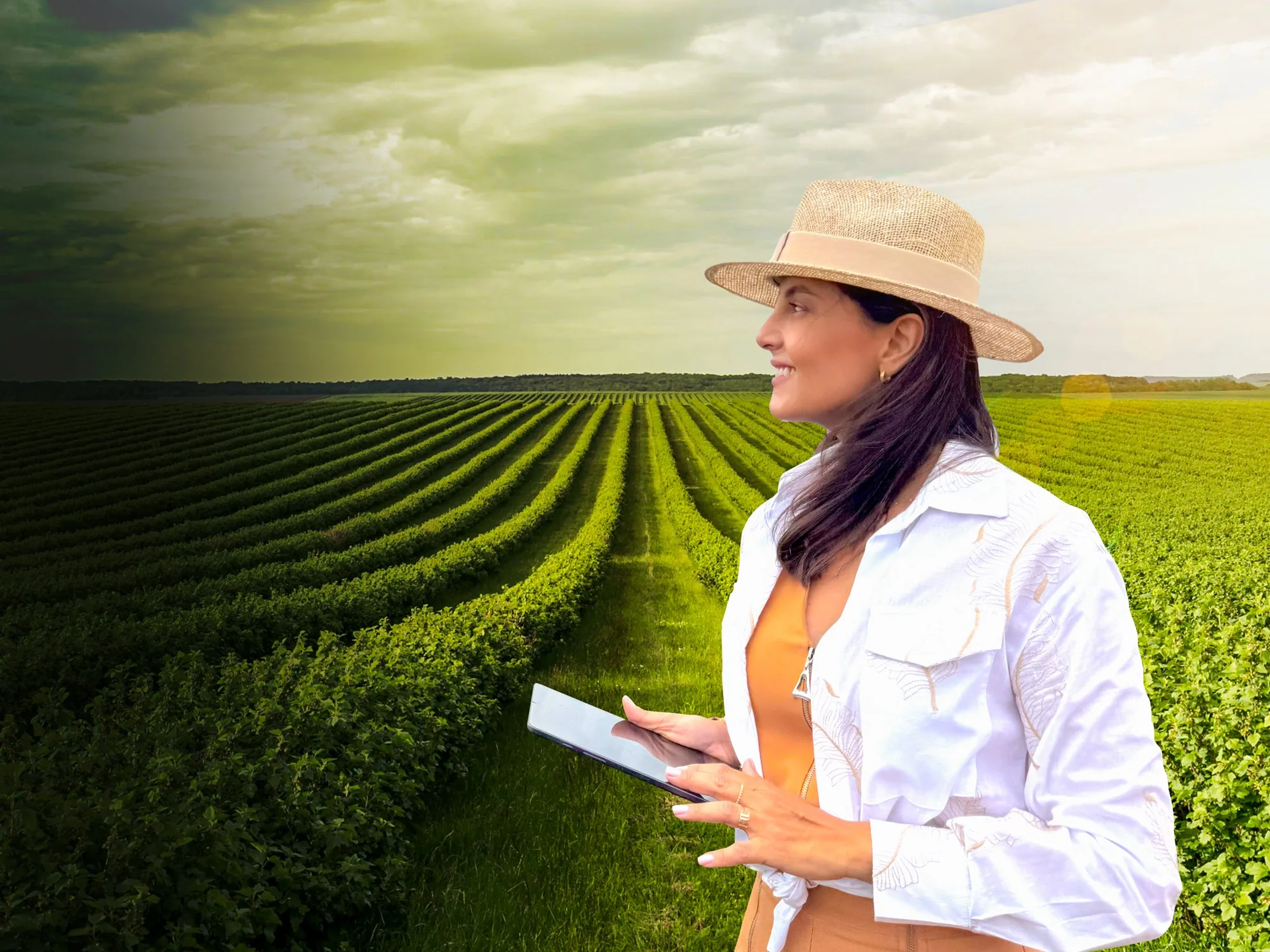 Produtora rural na lavoura com tablet